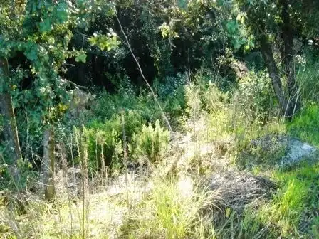 Terrenys i solars en venda a Gualba, imagen 6