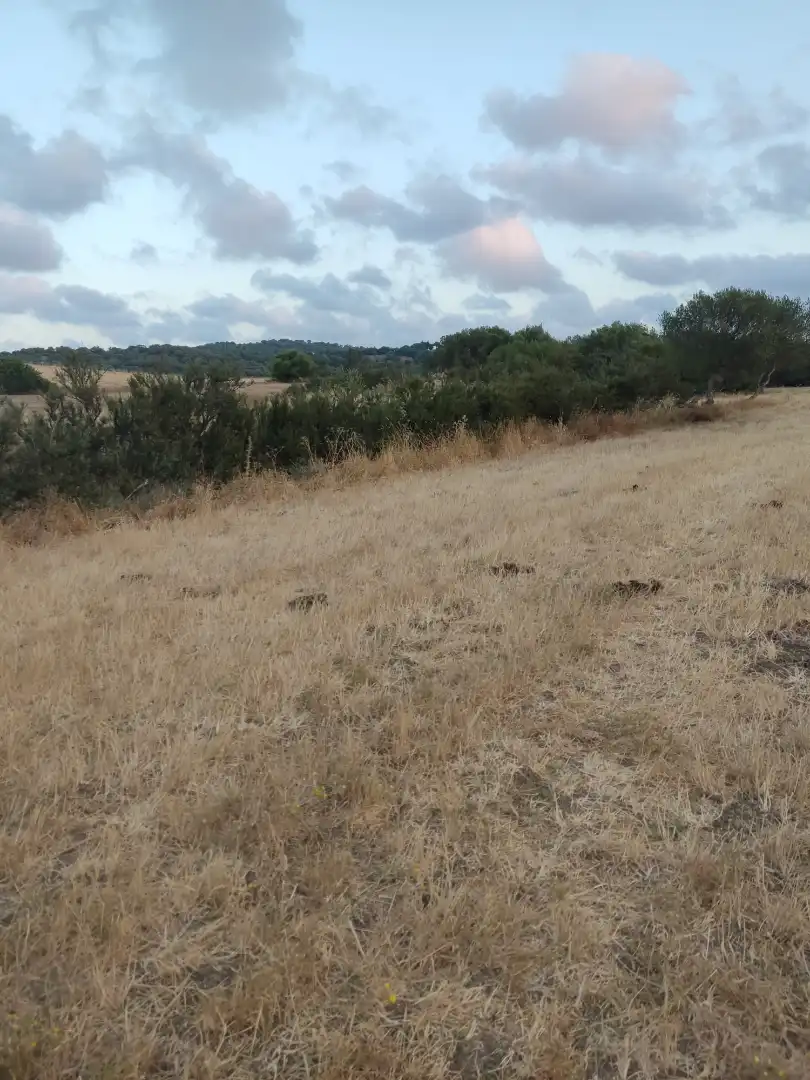 Land for sale in Vejer de la Frontera
