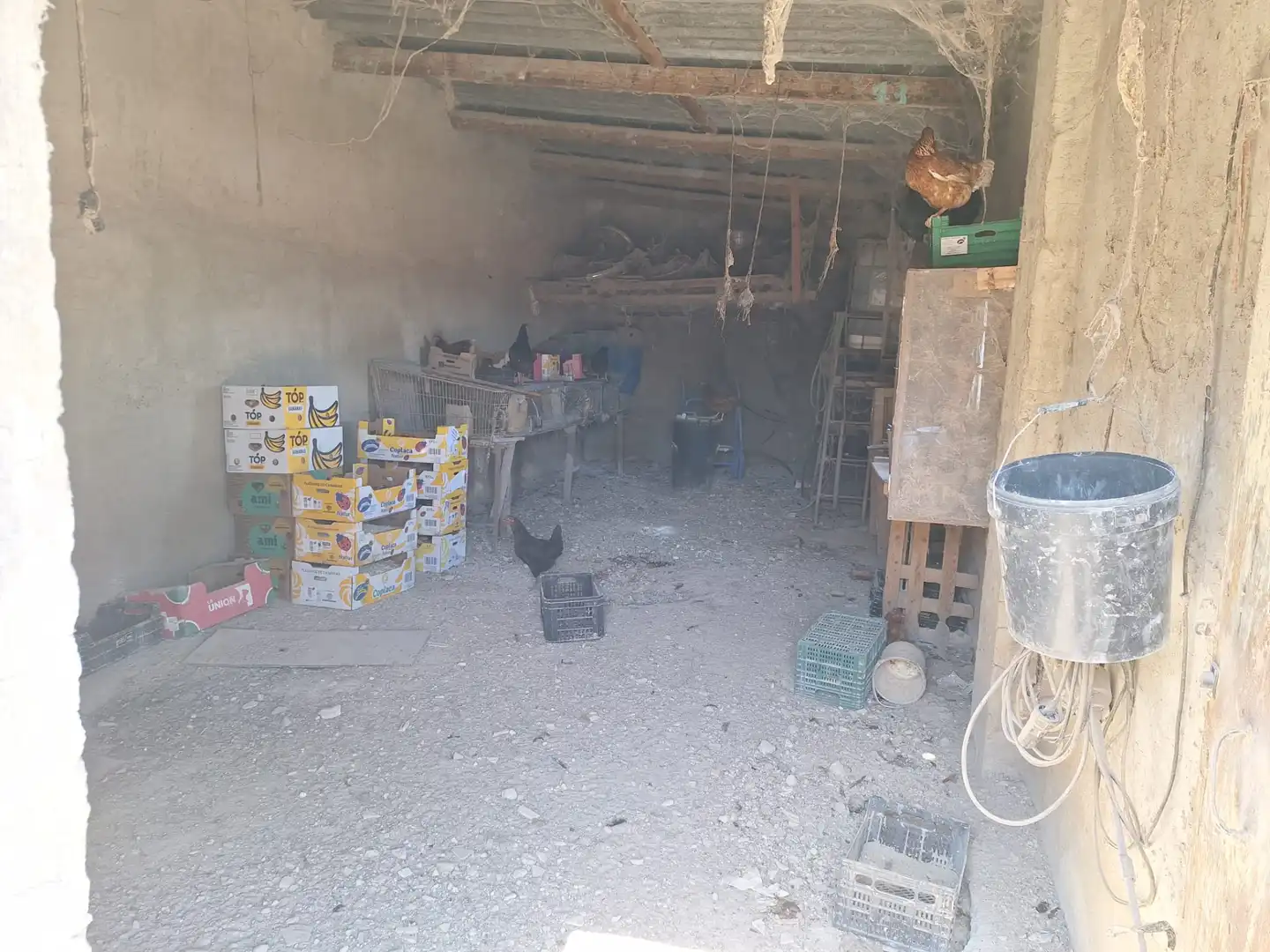 Casa o xalet en venda en Alicante / Alacant amb Jardí privat, Terrassa i Traster