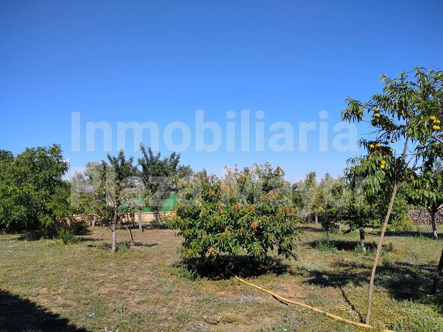 Casa o xalet en venda en Aldehuela de Yeltes amb Jardí privat