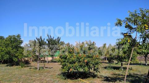 Foto 4 de Casa o chalet en venta en Aldehuela de Yeltes, Salamanca