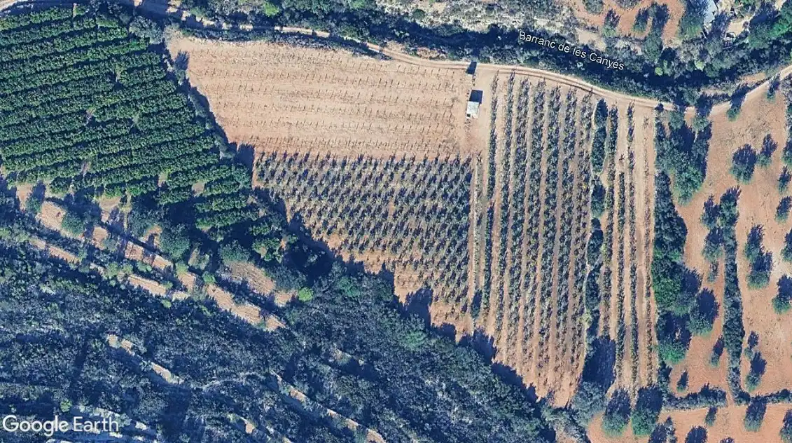 Terreno rústico en venta en Llombai, imagen 2