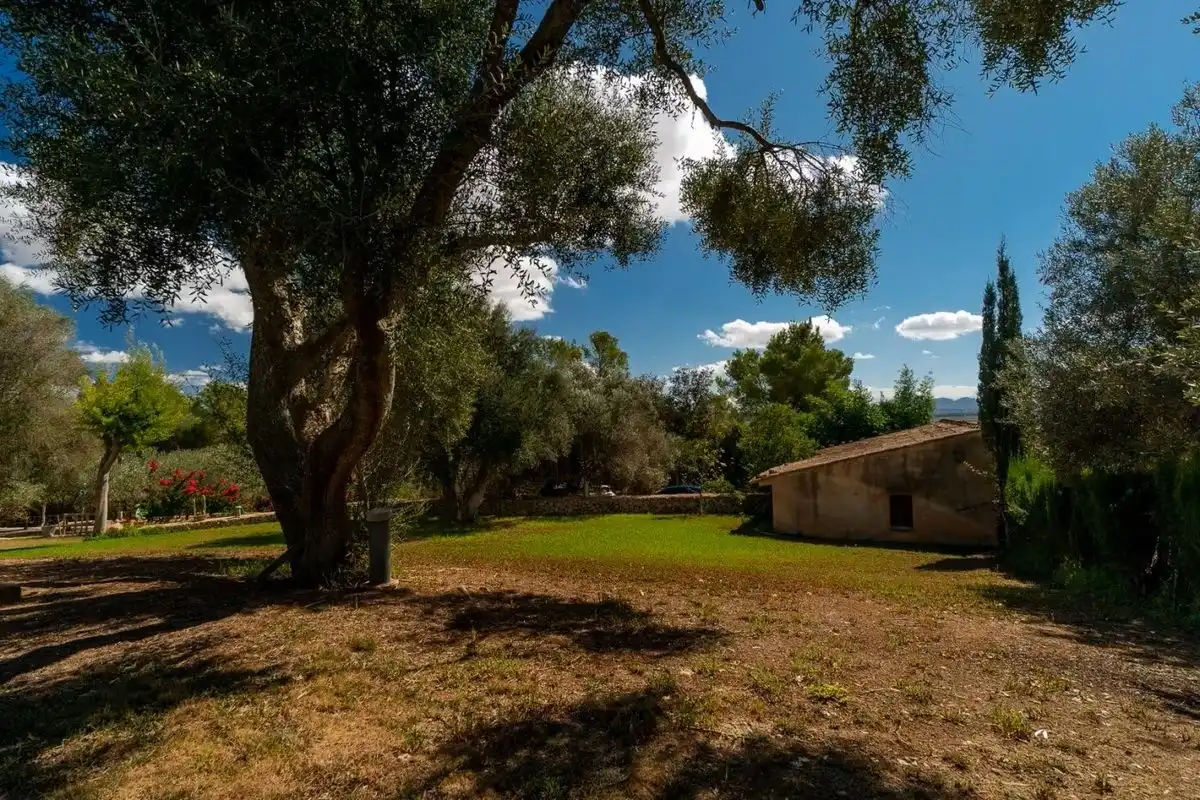 Villa mit Pool zum Verkauf in Diseminado Cdte Cuarto, imagen 18