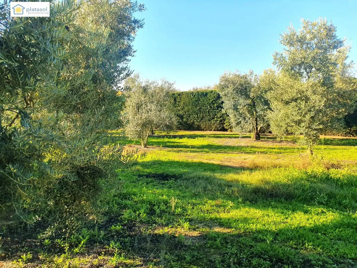 Finca rústica en venta en Chucena con Aire acondicionado, Calefacción y Jardín privado