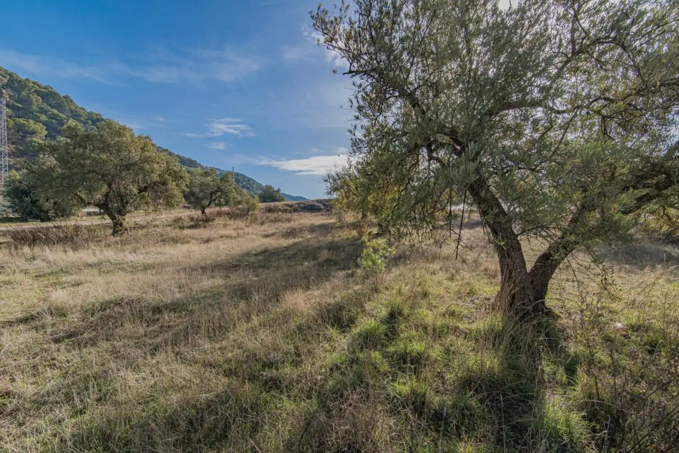 Grundstücke und Bauplätze zum Verkauf in Calle A (SAU-3) 28, imagen 40