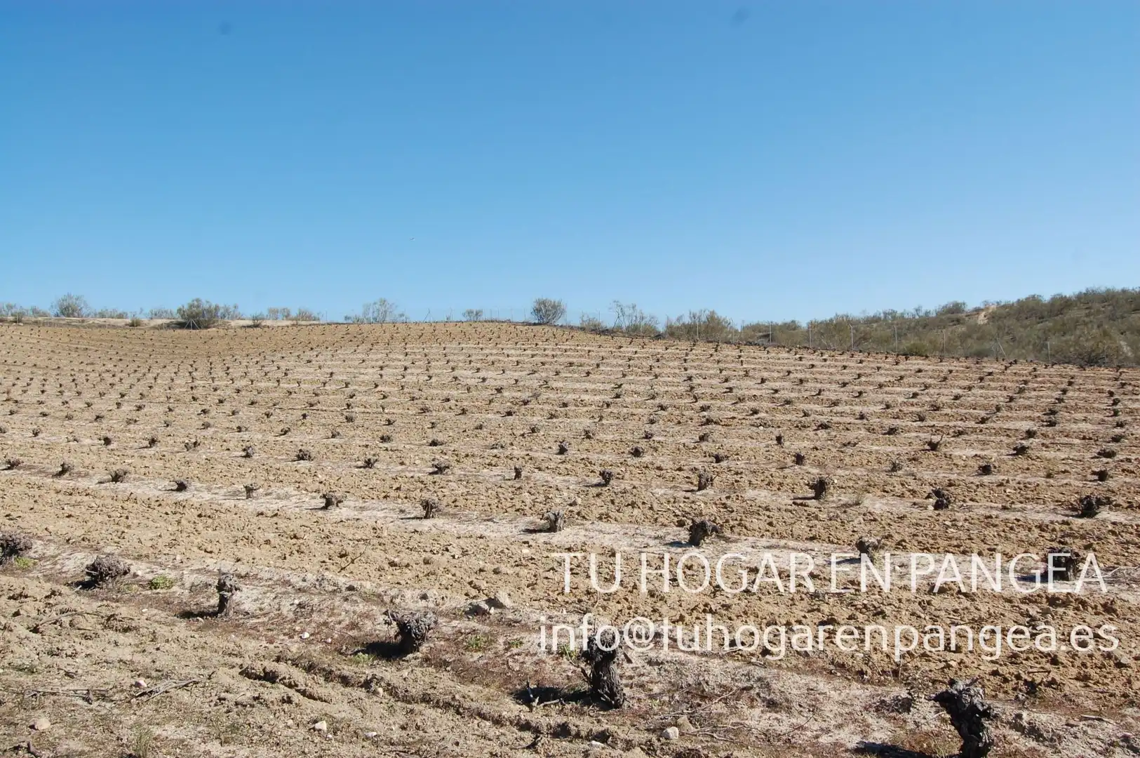 Rural land for sale in El Álamo, imagen 17