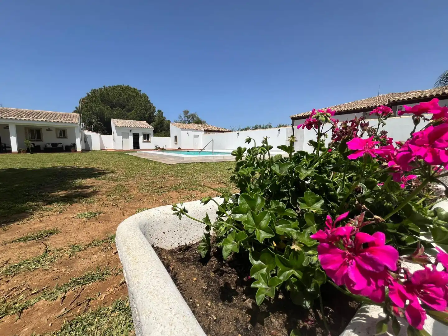 Jardín de Casa o chalet de alquiler en Chiclana de la Frontera