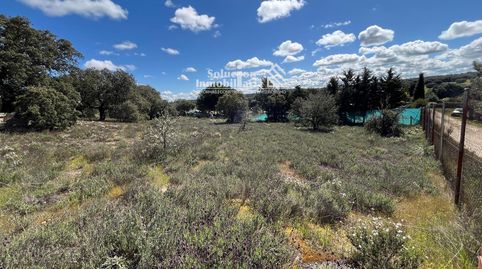 Foto 5 von Grundstücke zum Verkauf in Terradillos, Salamanca