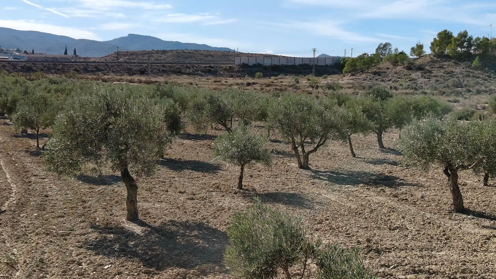 Terreno rustico in vendita a Campo Alto - Club de Campo, imagen 6