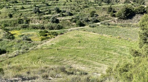 Foto 3 de Terreno en venta en Lorca, S/n, Puntarrón, Lorca