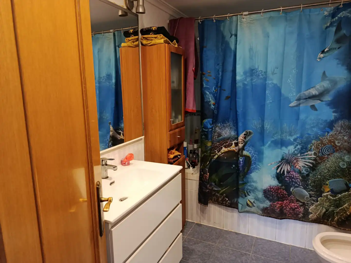 Baño de Casa o chalet en venta en Torrent con Aire acondicionado, Calefacción y Jardín privado