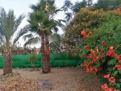 Casa o xalet en venda a Urbanizacion Amigos, 20, Alcolea
