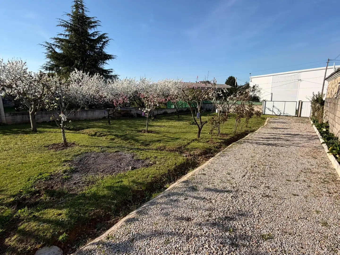 Jardín de Casa o chalet en venta en Ponferrada con Jardín privado y Amueblado