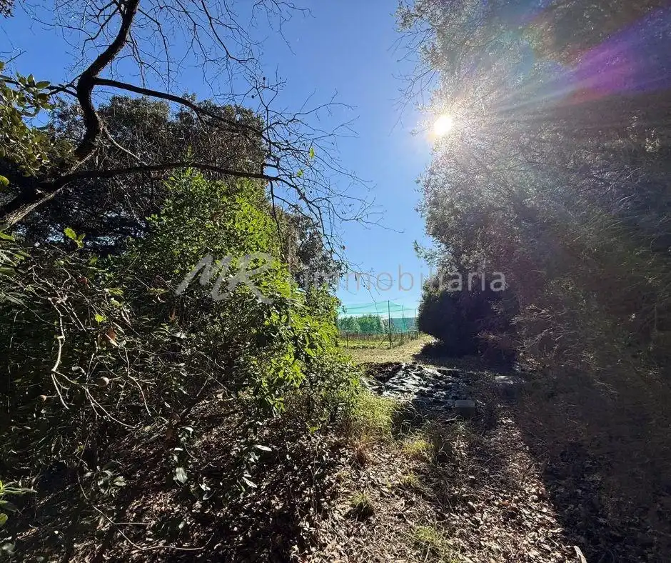 Casa o chalet en venta en Dosrius con Calefacción, Jardín privado y Terraza