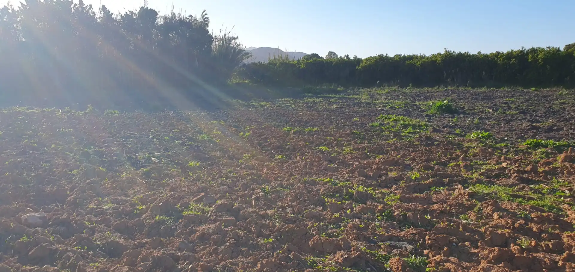 Country homes for sale in Tavernes de la Valldigna