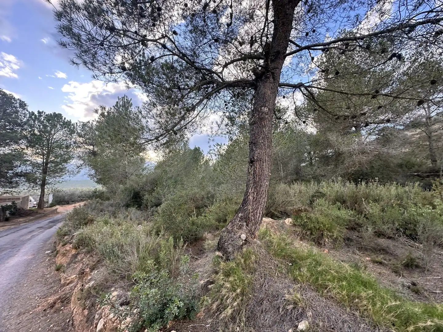 Terrenos y solares en venta en Alfara de la Baronia, imagen 12