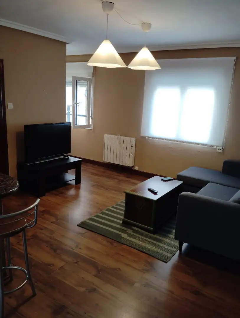 Living room of Flat for rent in Oviedo   with Heating, Furnished and Oven