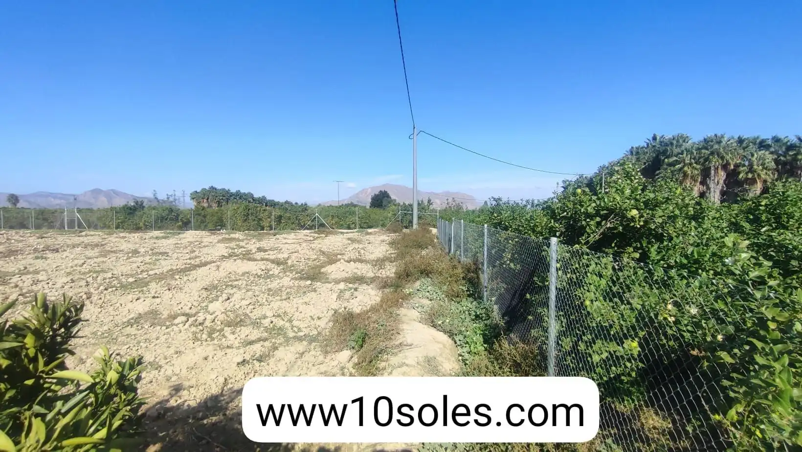 Terreno rustico in vendita a Jacarilla, imagen 8