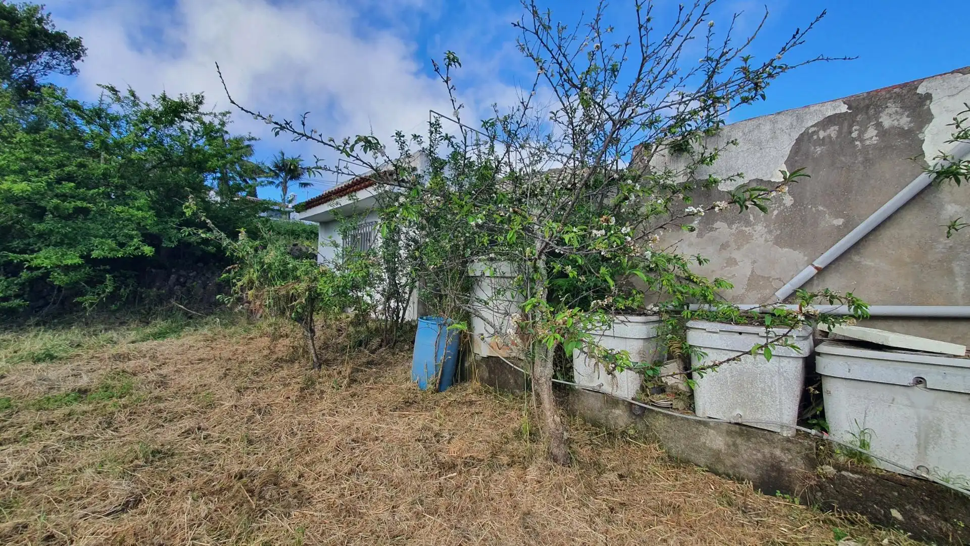 Haus oder Chalet zum Verkauf in Calle LAS CASTRAS, El Tanque