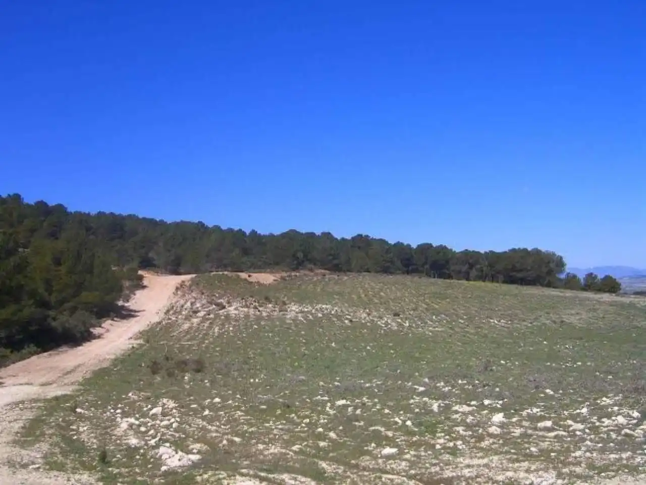 Terrains et parcelles à vendre à Pedanías Norte, imagen 13