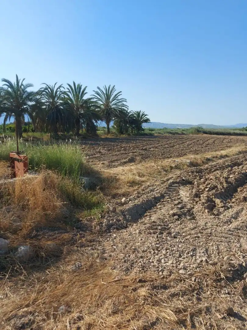 Residencial en venta en Catral
