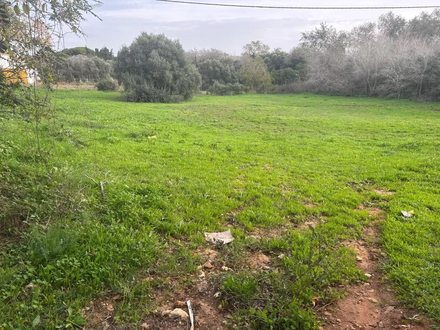 Terreno en venta en Vejer de la Frontera