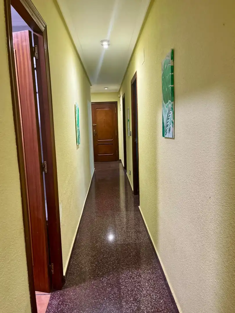 Wohnung mit Terrasse zum Verkauf in Elche ciudad, imagen 20