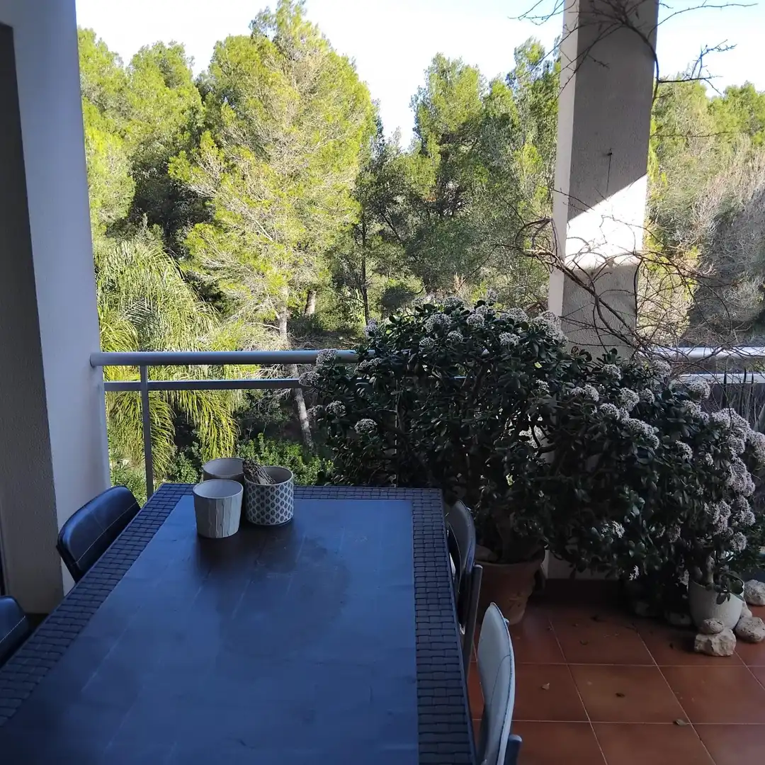 Terraza de Ático en venta en L'Ametlla de Mar  con Jardín privado, Terraza y Amueblado