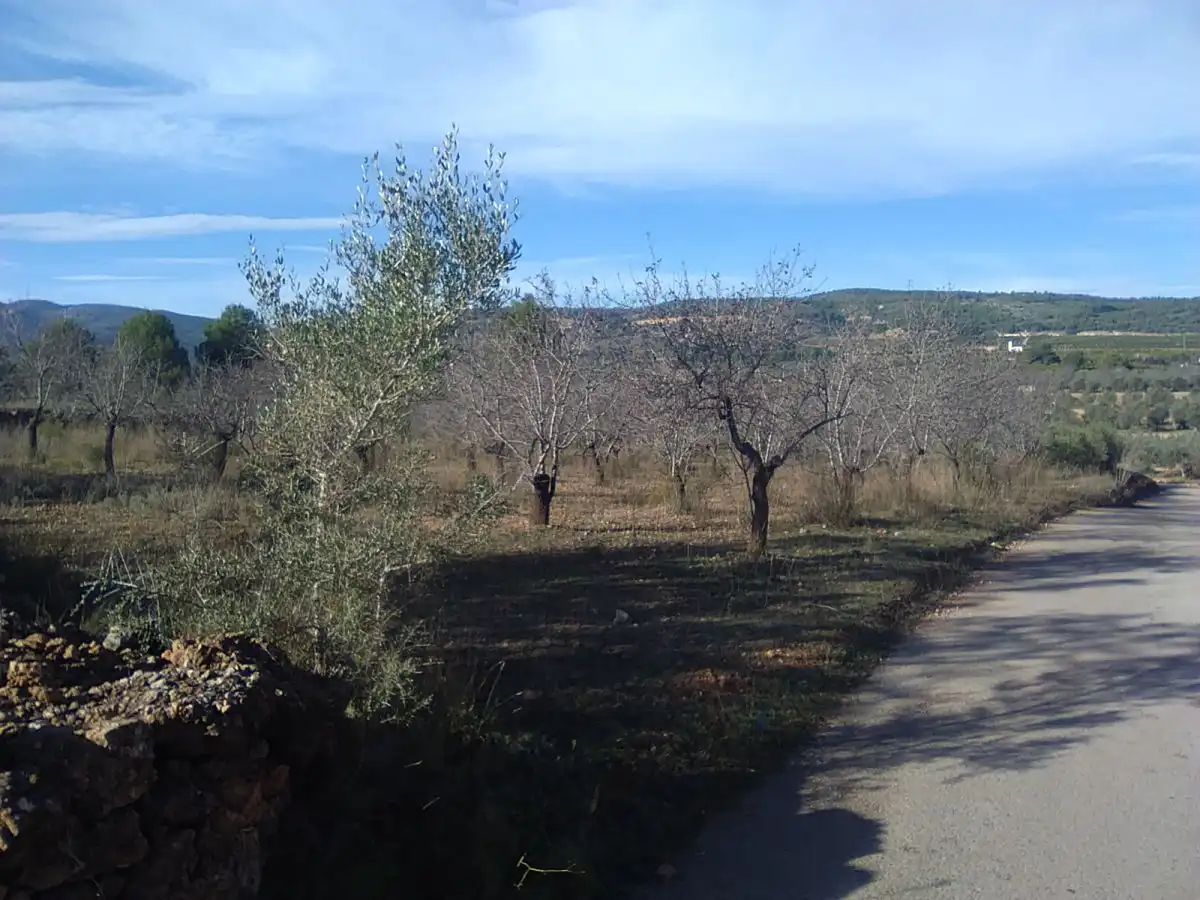 Terreno residencial en venta en Algímia de Alfara, imagen 8