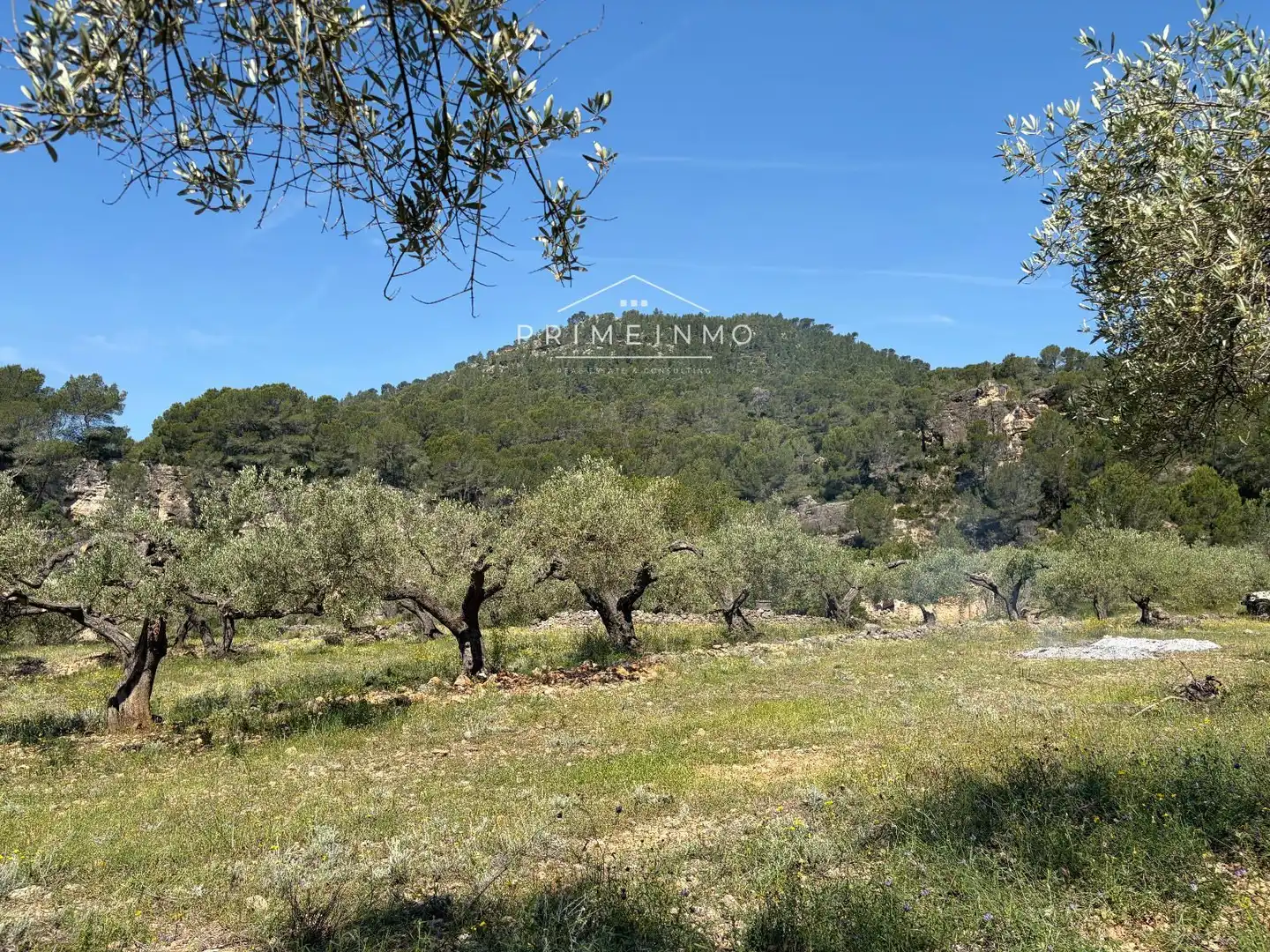 Terreno rústico en venta en L'Ametlla de Mar pueblo, imagen 11