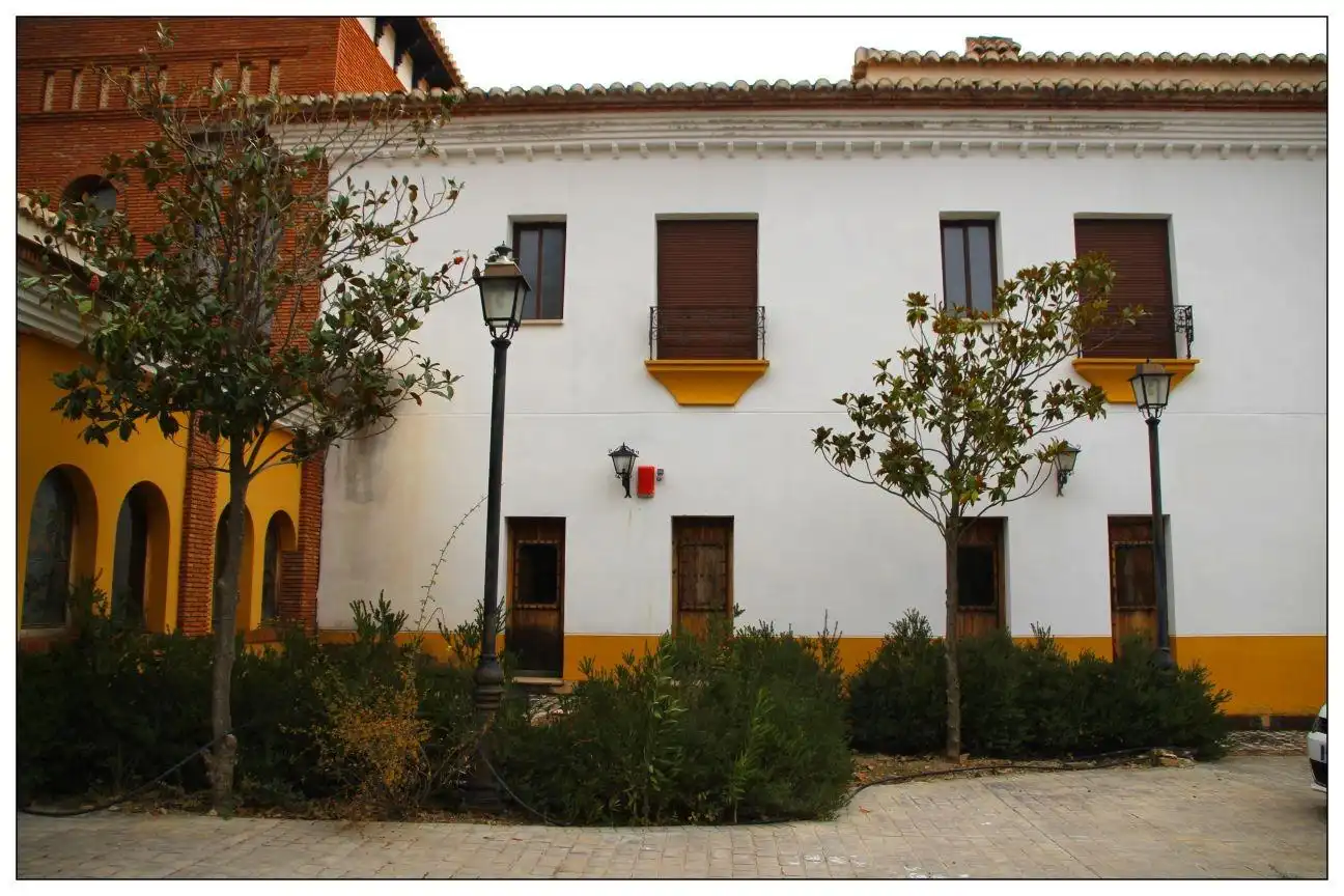 Inmuebles singulares con ascensor en venta en Diezma, imagen 31