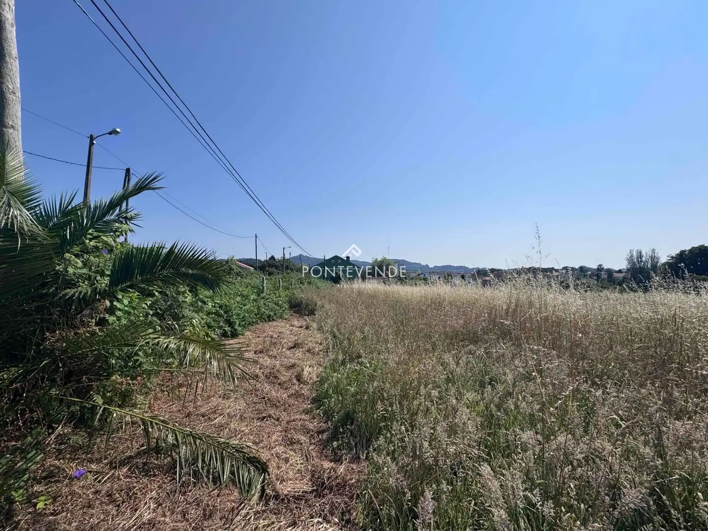 Terreno rustico in vendita a Porto (Do)-Arealonga, imagen 10