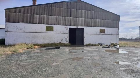 Foto 2 von Fabrikhallen zum Verkauf in Avenida de Sevilla, Tocina, Sevilla