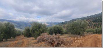 Terreno residencial en Venta en Villanueva del Arzobispo