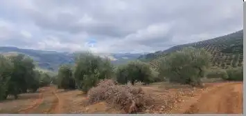 Terreni e lotti in vendita a Villanueva del Arzobispo