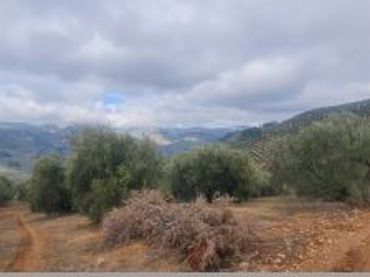 Terreni e lotti in vendita a Villanueva del Arzobispo