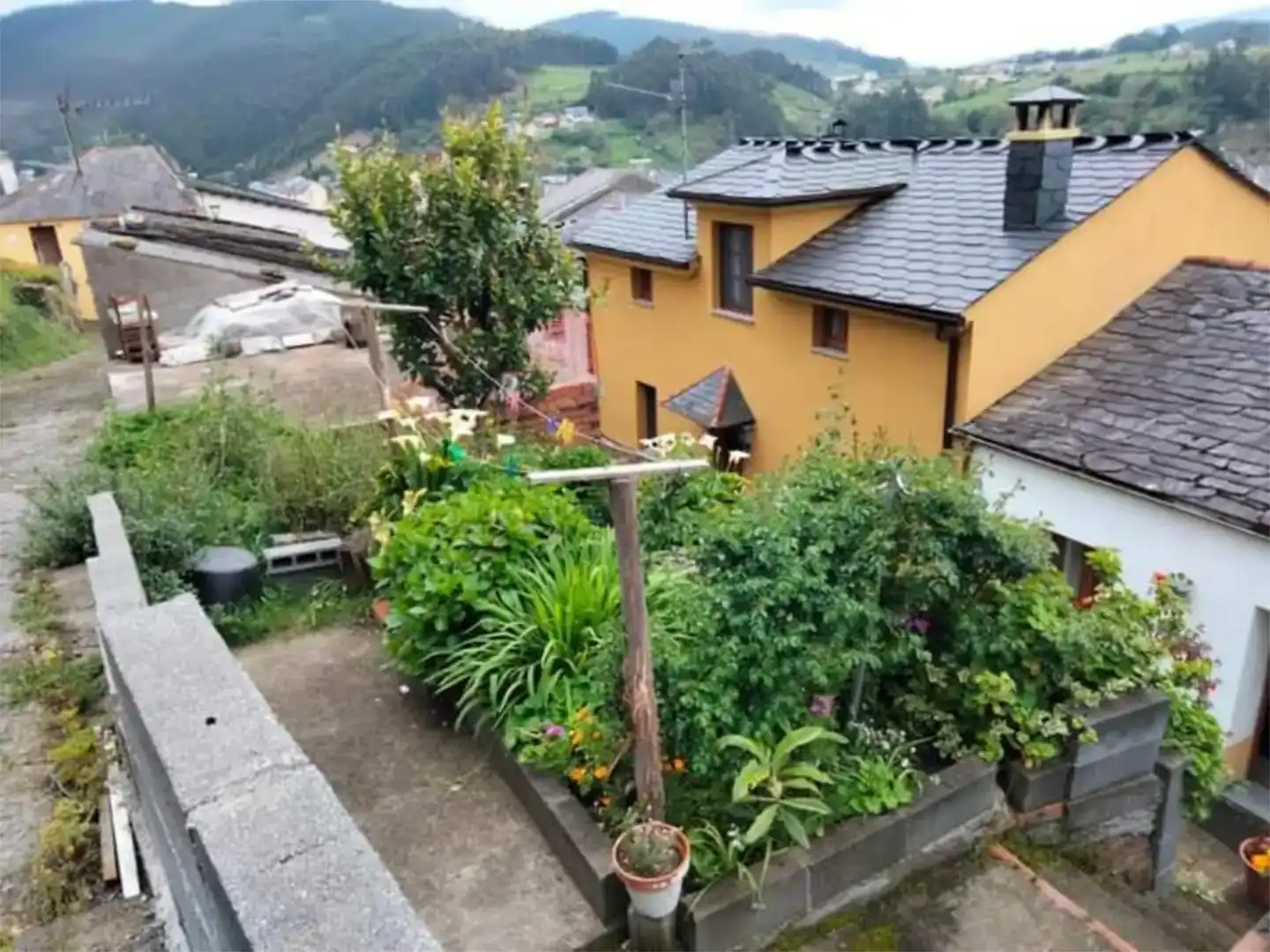 Garden of Detached homes for sale in Vegadeo