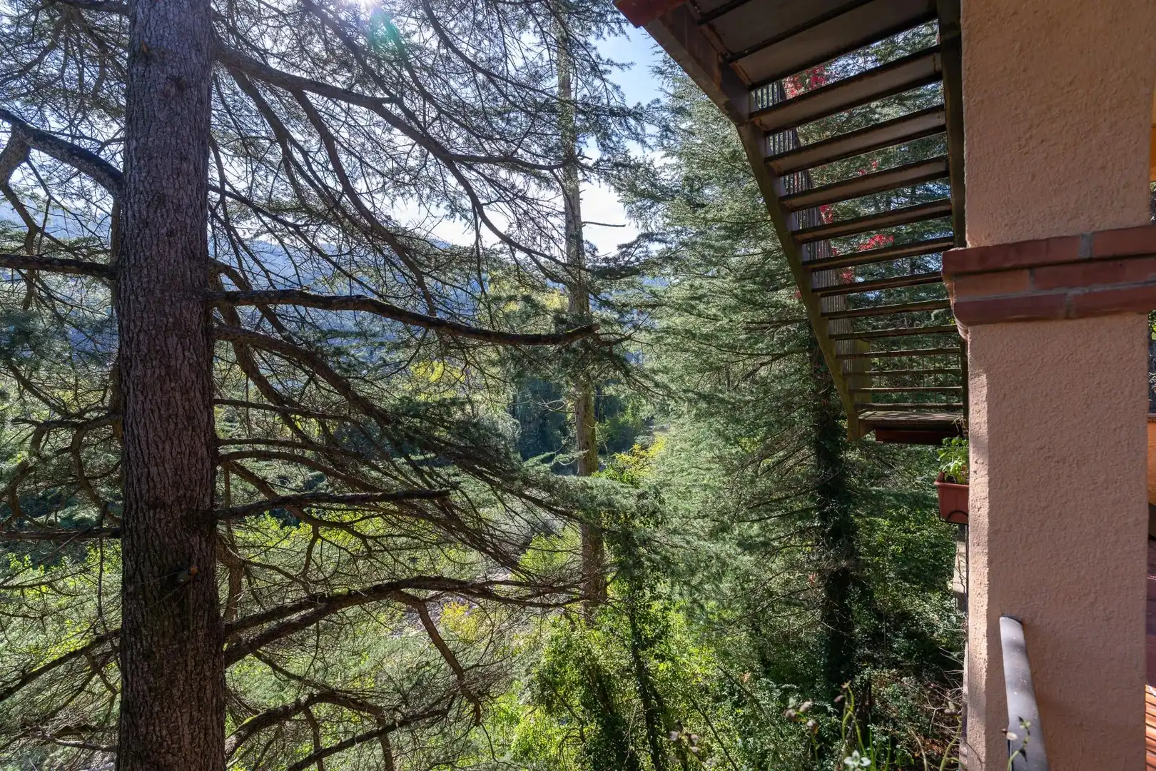 Jardín de Finca rústica en venta en Ripoll, Girona