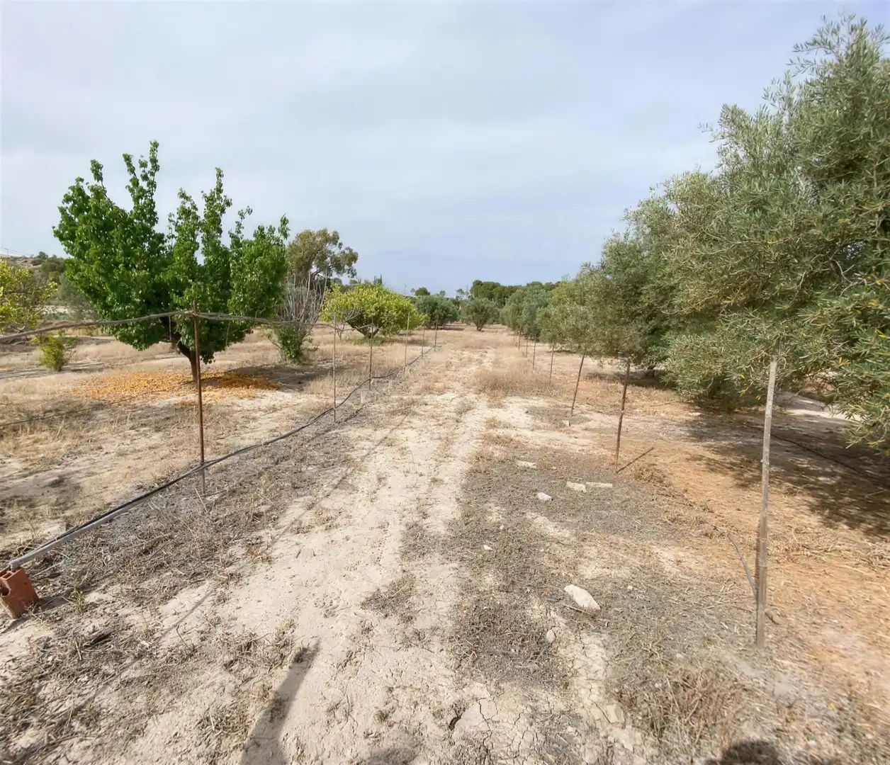 Villa à vendre à Partida Campet, imagen 25