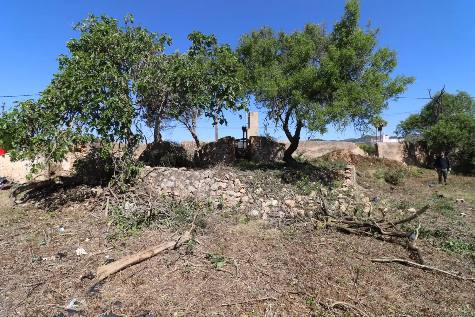 Terreno rustico in vendita a Alcanar, imagen 6