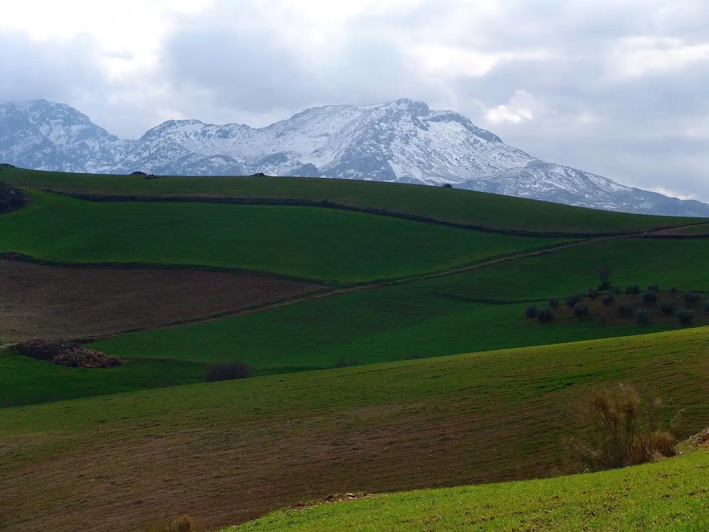 Terreno residenziale in vendita a Ardales, imagen 21