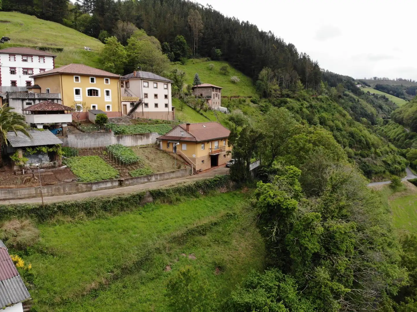 Vista exterior de Casa o xalet en venda en Tineo amb Calefacció, Jardí privat i Terrassa