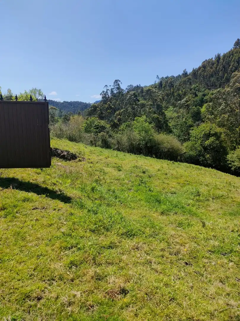 Finca rústica en venta en Villaviciosa