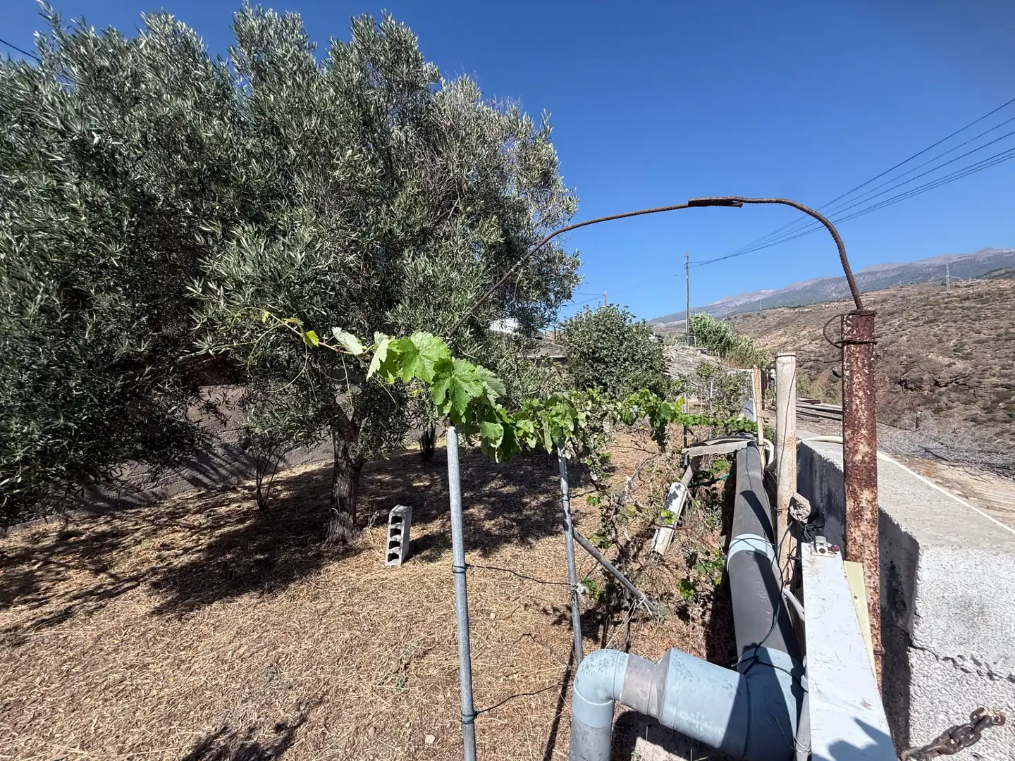 Country house with garden for sale in Calle la Vera, imagen 19
