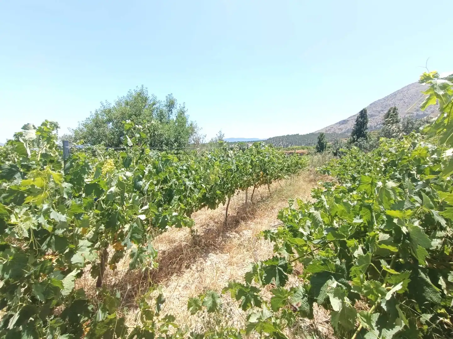 Finca rústica en venta en Vélez-Blanco con Aire acondicionado, Jardín privado y Terraza