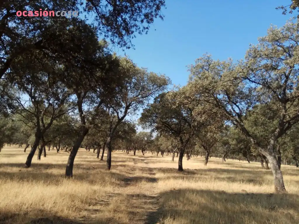 Exterior view of Country homes for sale in Torrecampo