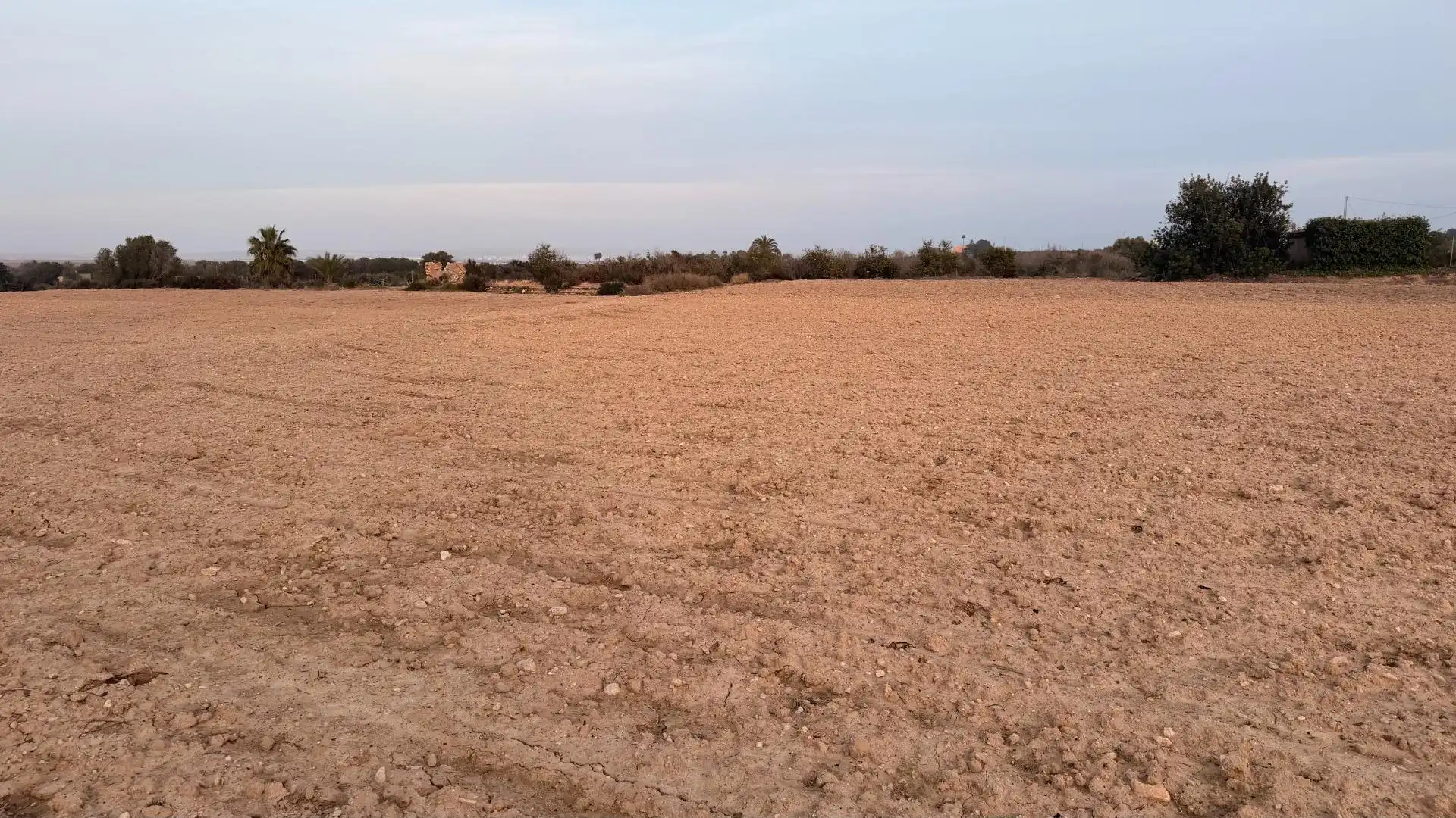 Terrain rustique à vendre à La Marina, imagen 23
