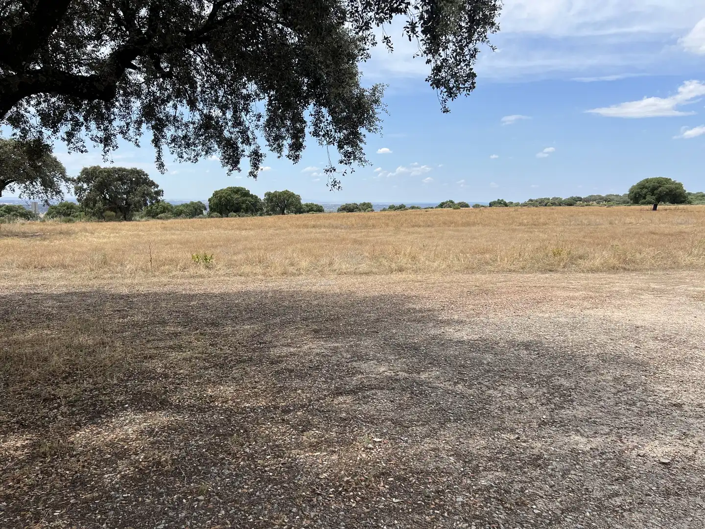 Land for sale in Calle Hernán Cortés, 20, Jaraicejo