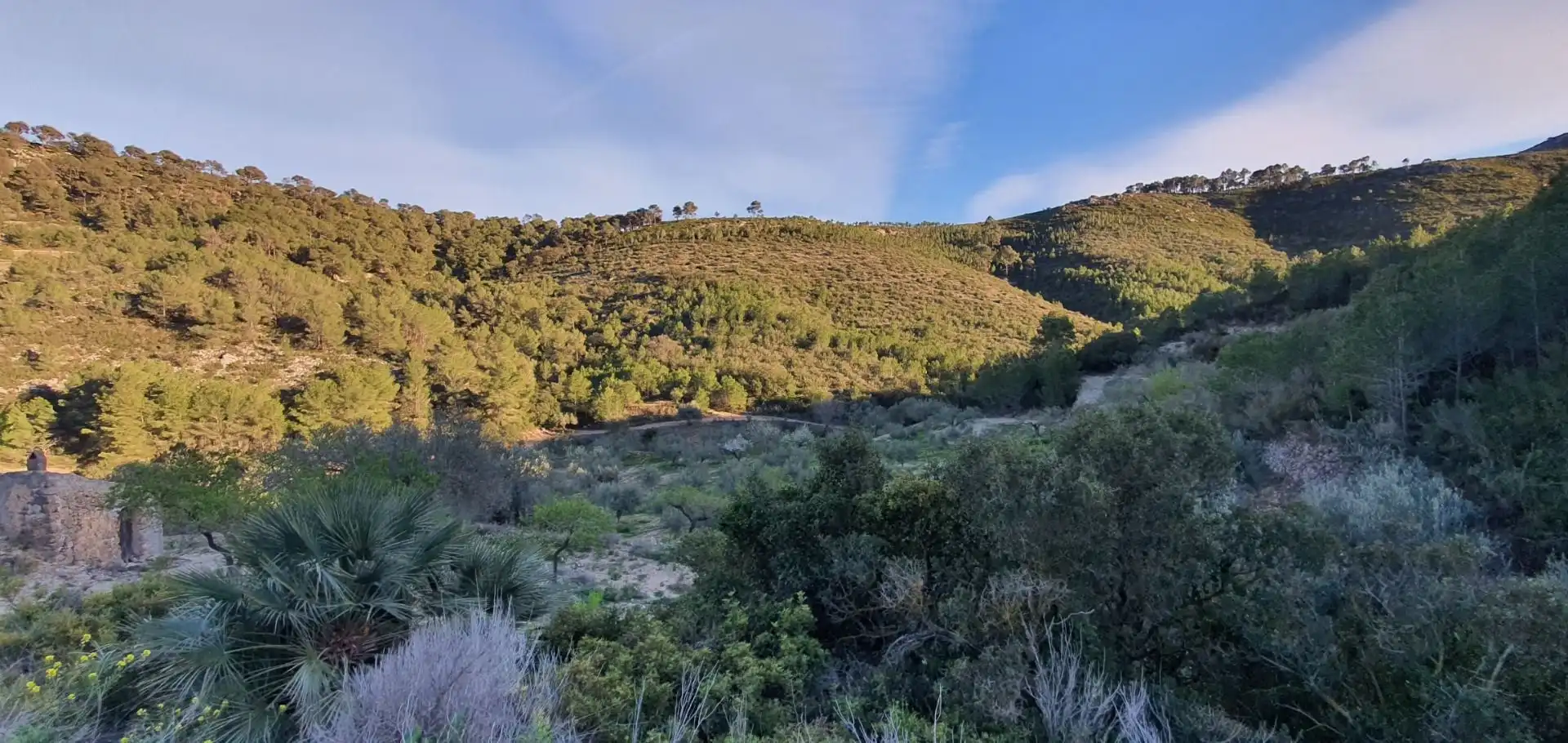 Casa o chalet en venta en Rasquera