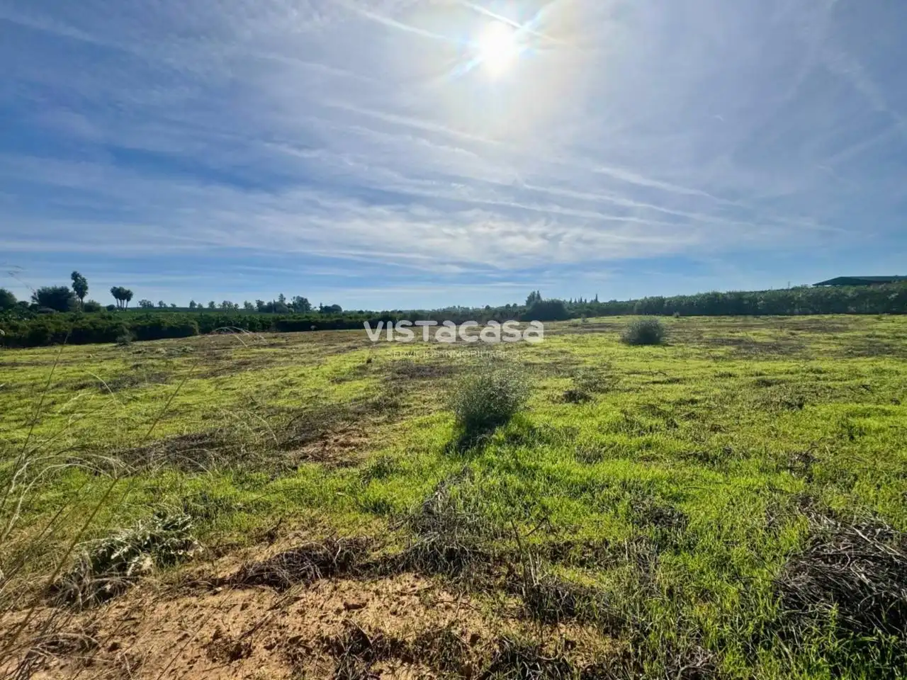 Terreno en venta en Carmona